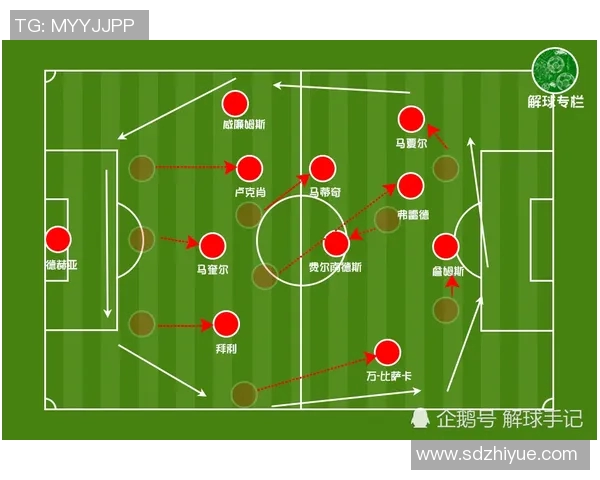 武汉飞盘队灵活性分析：数据揭示团队战术与运动员表现的深度关系