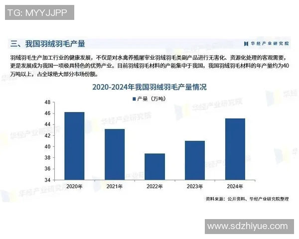 深度分析北京羽毛球队包夹战术的优势与应用策略