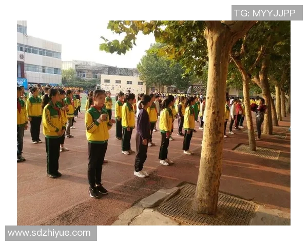 王伟的攀岩人生探索与深度对话揭示梦想与挑战的真实故事 王伟的攀岩人生探索与深度对话揭示梦想与挑战的真实故事