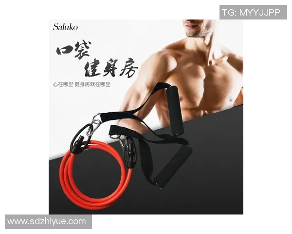 腹肌什么健身器材好用训练器选择指南